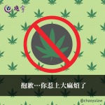 Read more about the article 抱歉……你惹上大麻煩了
